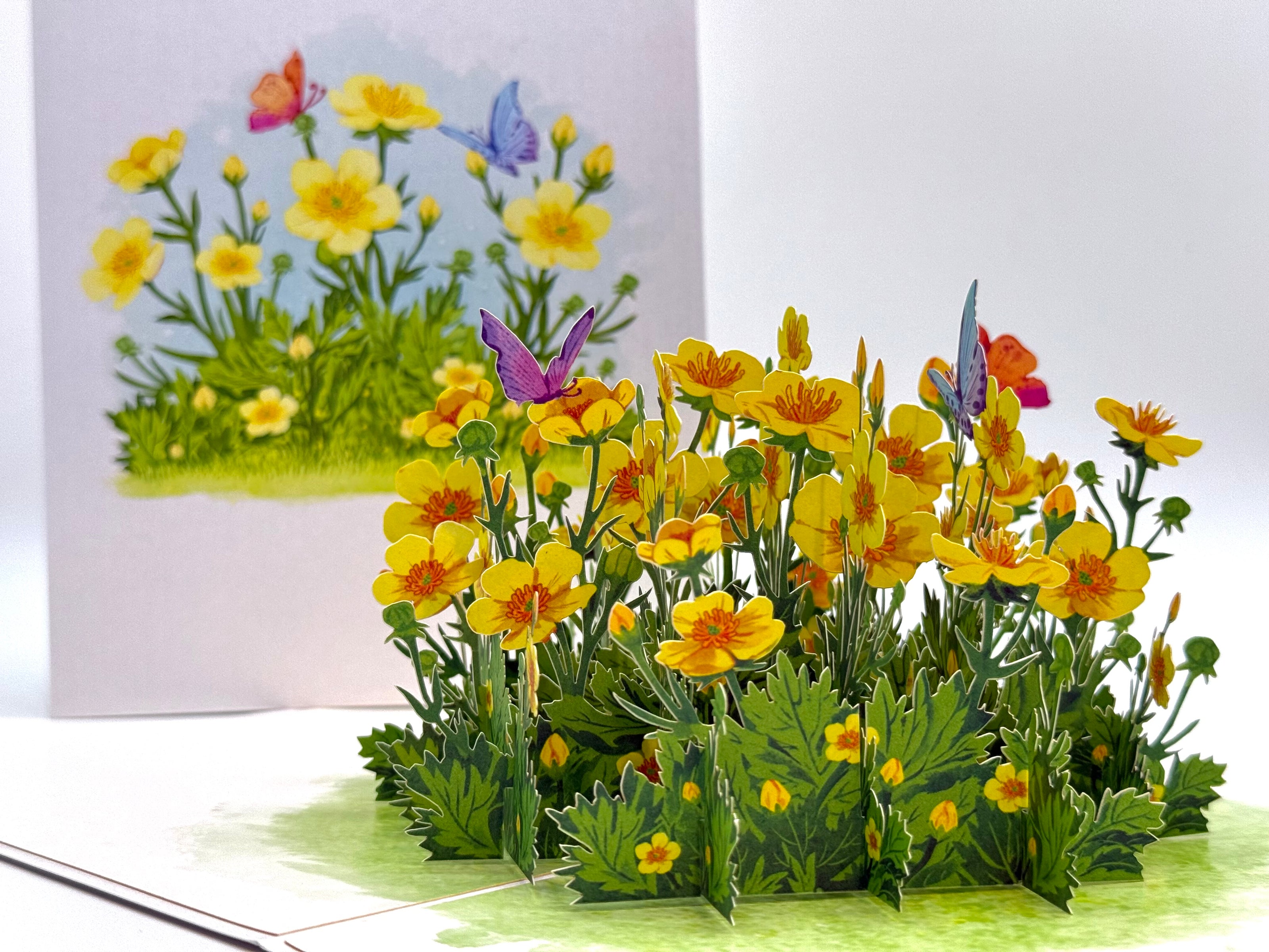 Wild Celery or Creeping Buttercup Glossy Yellow Flower Garden Origami Pop Cards 3D Pop Up Greeting Card Happy Birthday Thank You Handmade Gift Thinking of You Blank Card for Any Occasion Happy Mother's Day Happy Father's Celebrate the Beauty of Flower