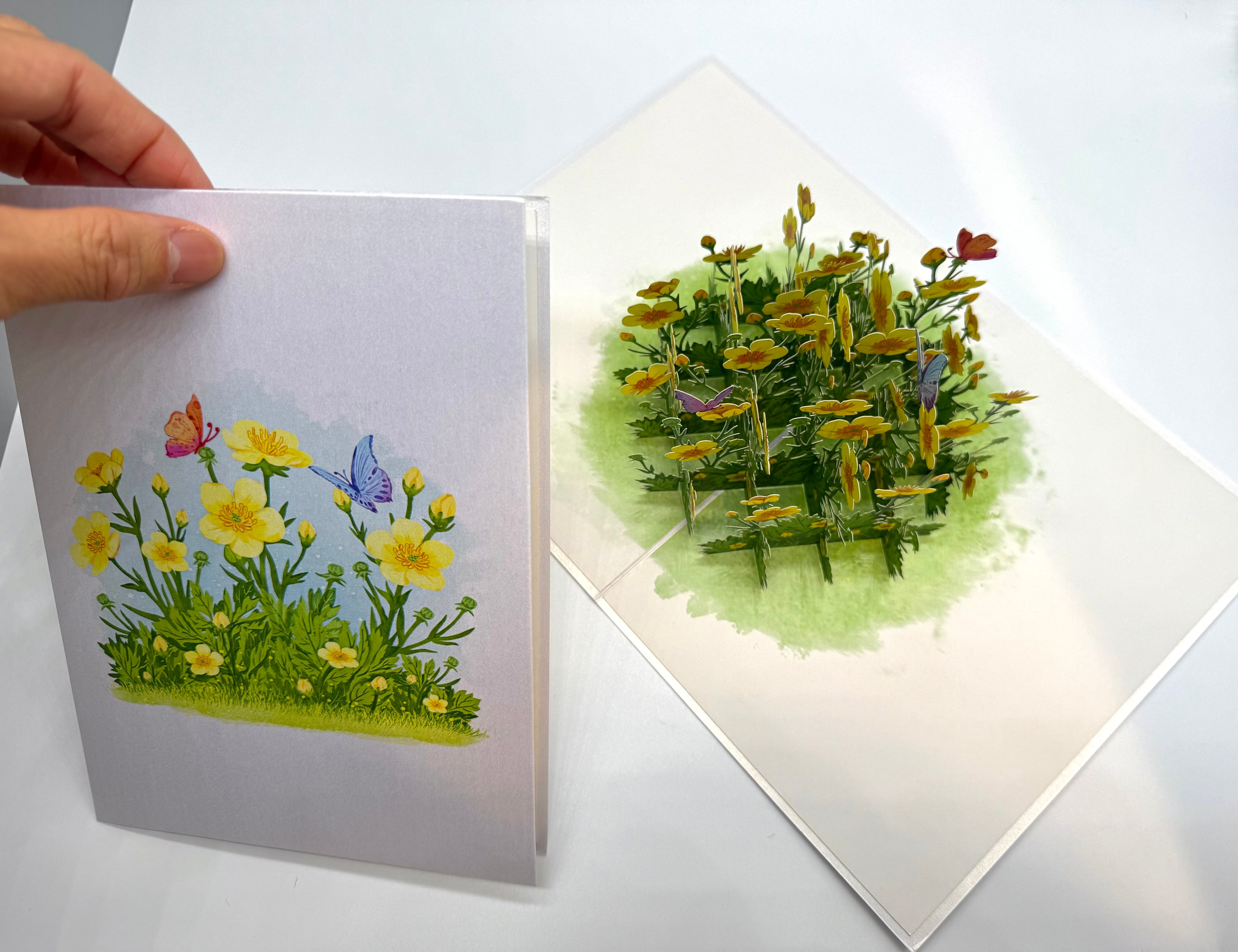 Wild Celery or Creeping Buttercup Glossy Yellow Flower Garden Origami Pop Cards 3D Pop Up Greeting Card Happy Birthday Thank You Handmade Gift Thinking of You Blank Card for Any Occasion Happy Mother's Day Happy Father's Celebrate the Beauty of Flower