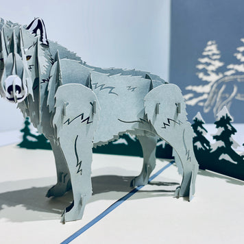 Wild Wolf - The Gray Wolf Origami Pop Cards 3D Pop Up Greeting Card Happy Birthday Thank You Handmade Gift Thinking of You Blank Card for Any Occasion Happy Mother's Day Happy Father's Australiana Celebrate the Beauty of Animals Perfect for Boy