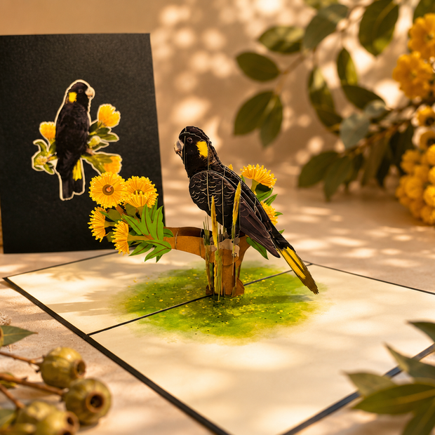 Yellow-Tailed Black Cockatoo with Golden Gum Blossoms - Australian Bird Origami Pop Cards 3D Pop Up Greeting Card Happy Birthday Thank You Handmade Gift Thinking of You Blank Card for Any Occasion Happy Mother's Day Happy Father's Australiana Birds