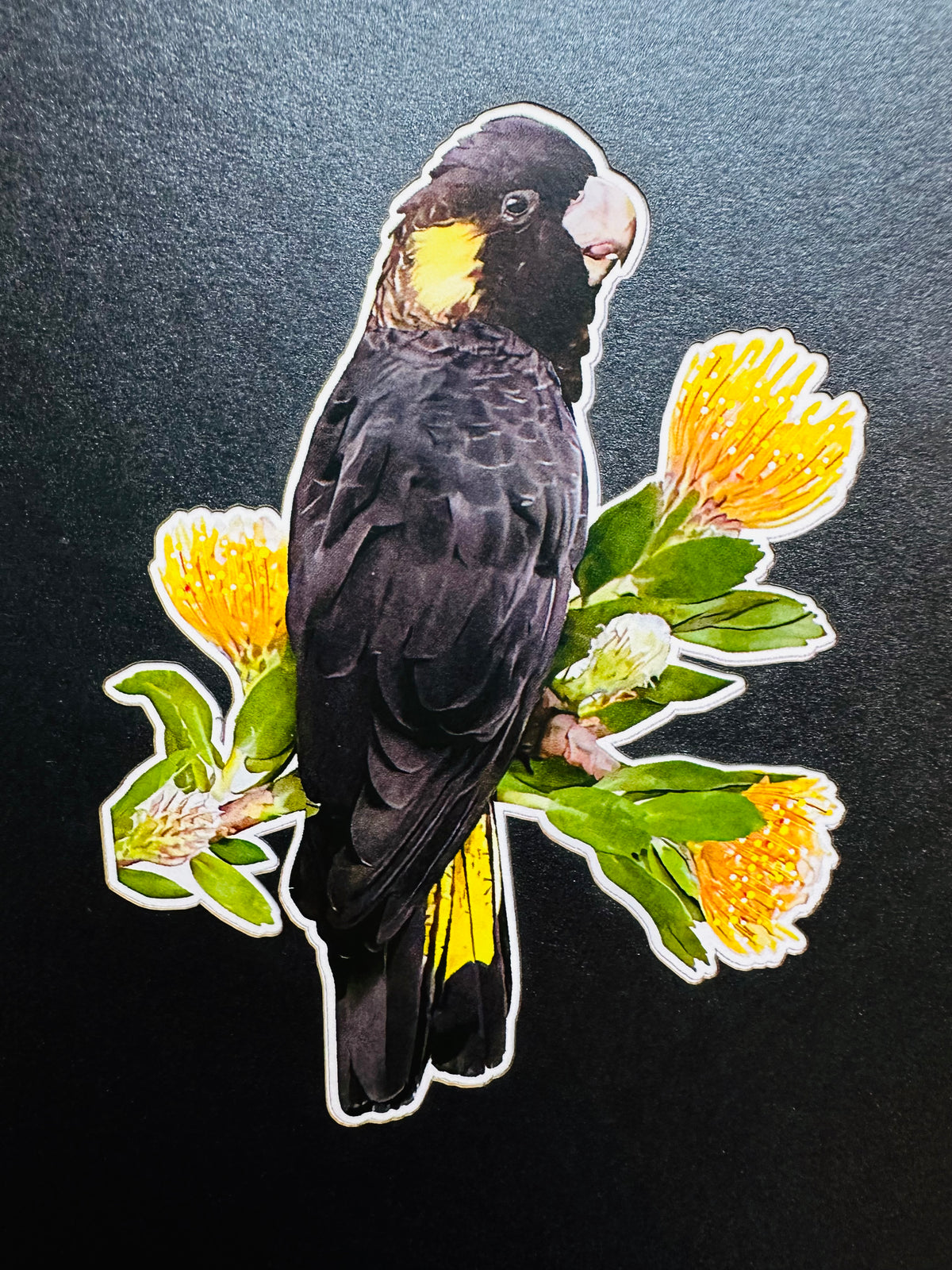 Yellow-Tailed Black Cockatoo with Golden Gum Blossoms - Australian Bird Origami Pop Cards 3D Pop Up Greeting Card Happy Birthday Thank You Handmade Gift Thinking of You Blank Card for Any Occasion Happy Mother's Day Happy Father's Australiana Birds