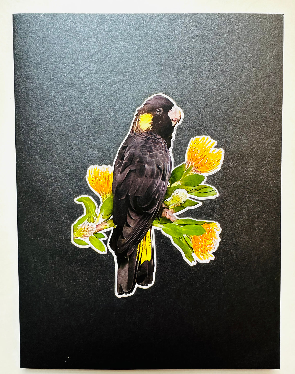 Yellow-Tailed Black Cockatoo with Golden Gum Blossoms - Australian Bird Origami Pop Cards 3D Pop Up Greeting Card Happy Birthday Thank You Handmade Gift Thinking of You Blank Card for Any Occasion Happy Mother's Day Happy Father's Australiana Birds