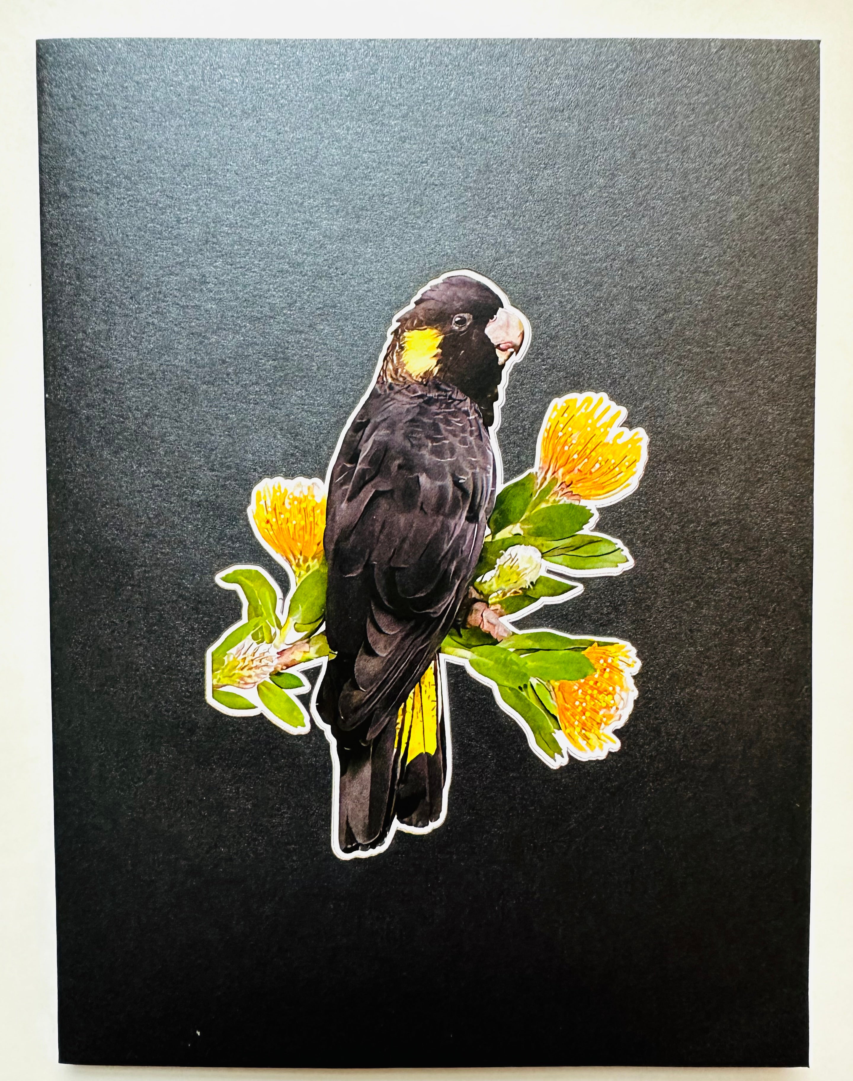 Yellow-Tailed Black Cockatoo with Golden Gum Blossoms - Australian Bird Origami Pop Cards 3D Pop Up Greeting Card Happy Birthday Thank You Handmade Gift Thinking of You Blank Card for Any Occasion Happy Mother's Day Happy Father's Australiana Birds