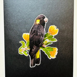Yellow-Tailed Black Cockatoo with Golden Gum Blossoms - Australian Bird Origami Pop Cards 3D Pop Up Greeting Card Happy Birthday Thank You Handmade Gift Thinking of You Blank Card for Any Occasion Happy Mother's Day Happy Father's Australiana Birds