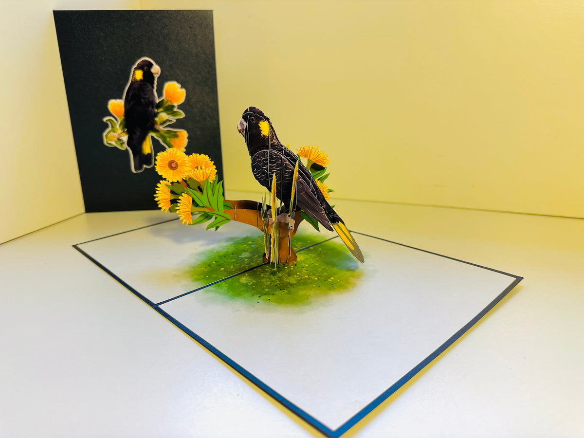 Yellow-Tailed Black Cockatoo with Golden Gum Blossoms - Australian Bird Origami Pop Cards 3D Pop Up Greeting Card Happy Birthday Thank You Handmade Gift Thinking of You Blank Card for Any Occasion Happy Mother's Day Happy Father's Australiana Birds