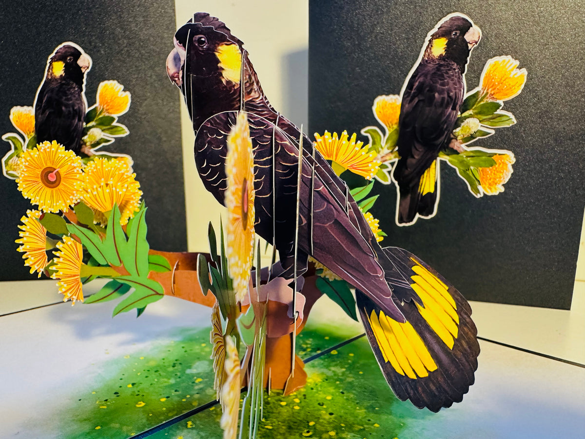 Yellow-Tailed Black Cockatoo with Golden Gum Blossoms - Australian Bird Origami Pop Cards 3D Pop Up Greeting Card Happy Birthday Thank You Handmade Gift Thinking of You Blank Card for Any Occasion Happy Mother's Day Happy Father's Australiana Birds