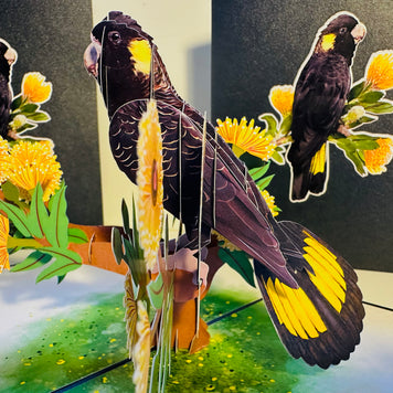 Yellow-Tailed Black Cockatoo with Golden Gum Blossoms - Australian Bird Origami Pop Cards 3D Pop Up Greeting Card Happy Birthday Thank You Handmade Gift Thinking of You Blank Card for Any Occasion Happy Mother's Day Happy Father's Australiana Birds