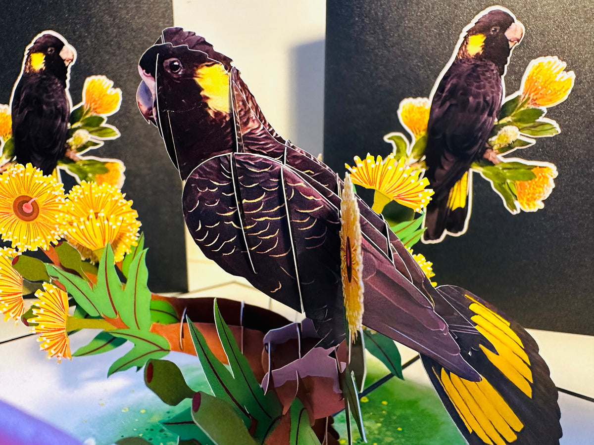 Yellow-Tailed Black Cockatoo with Golden Gum Blossoms - Australian Bird Origami Pop Cards 3D Pop Up Greeting Card Happy Birthday Thank You Handmade Gift Thinking of You Blank Card for Any Occasion Happy Mother's Day Happy Father's Australiana Birds