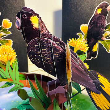 Yellow-Tailed Black Cockatoo with Golden Gum Blossoms - Australian Bird Origami Pop Cards 3D Pop Up Greeting Card Happy Birthday Thank You Handmade Gift Thinking of You Blank Card for Any Occasion Happy Mother's Day Happy Father's Australiana Birds