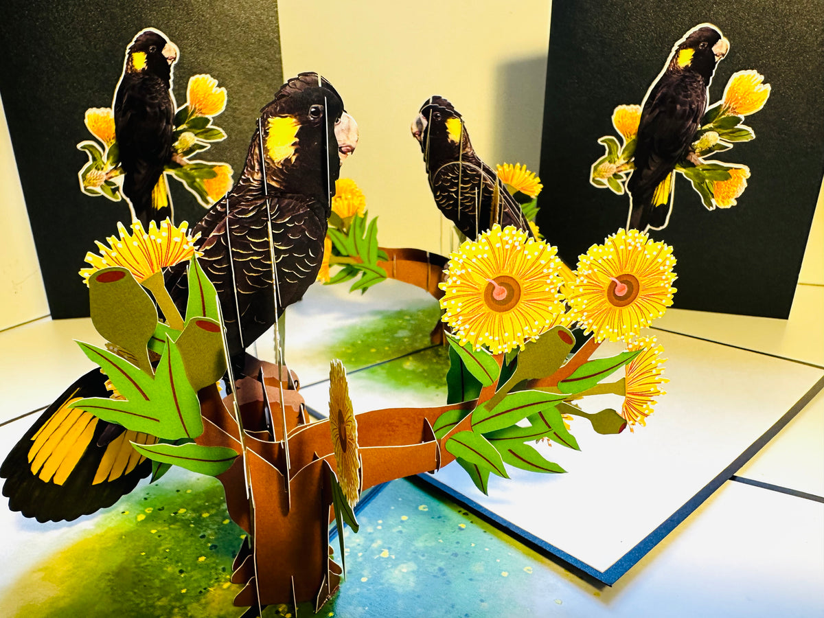 Yellow-Tailed Black Cockatoo with Golden Gum Blossoms - Australian Bird Origami Pop Cards 3D Pop Up Greeting Card Happy Birthday Thank You Handmade Gift Thinking of You Blank Card for Any Occasion Happy Mother's Day Happy Father's Australiana Birds