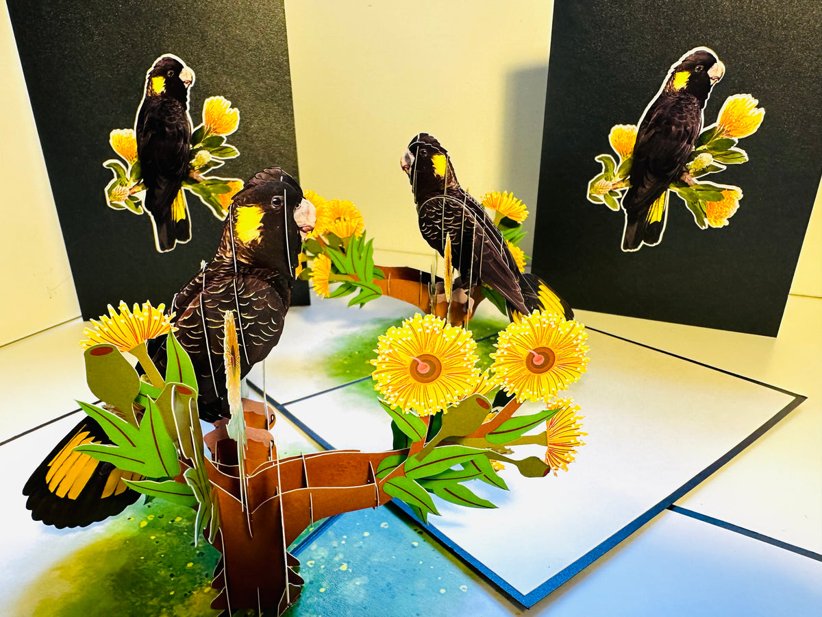 Yellow-Tailed Black Cockatoo with Golden Gum Blossoms - Australian Bird Origami Pop Cards 3D Pop Up Greeting Card Happy Birthday Thank You Handmade Gift Thinking of You Blank Card for Any Occasion Happy Mother's Day Happy Father's Australiana Birds