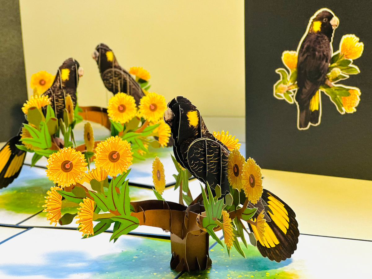 Yellow-Tailed Black Cockatoo with Golden Gum Blossoms - Australian Bird Origami Pop Cards 3D Pop Up Greeting Card Happy Birthday Thank You Handmade Gift Thinking of You Blank Card for Any Occasion Happy Mother's Day Happy Father's Australiana Birds