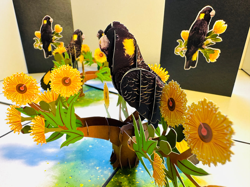 Yellow-Tailed Black Cockatoo with Golden Gum Blossoms - Australian Bird Origami Pop Cards 3D Pop Up Greeting Card Happy Birthday Thank You Handmade Gift Thinking of You Blank Card for Any Occasion Happy Mother's Day Happy Father's Australiana Birds