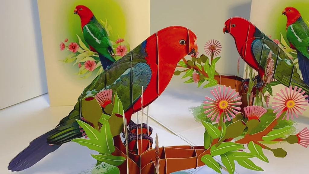 Single Australian King Parrot - Aussie Bird Origami Pop Cards 3D Pop Up Greeting Card Celebrate Happy Birthday Thank You Handmade Best Wishes Gift Thinking of You Blank Card for Any Occasion Happy Mother's Day Happy Father's Day Australiana Birds