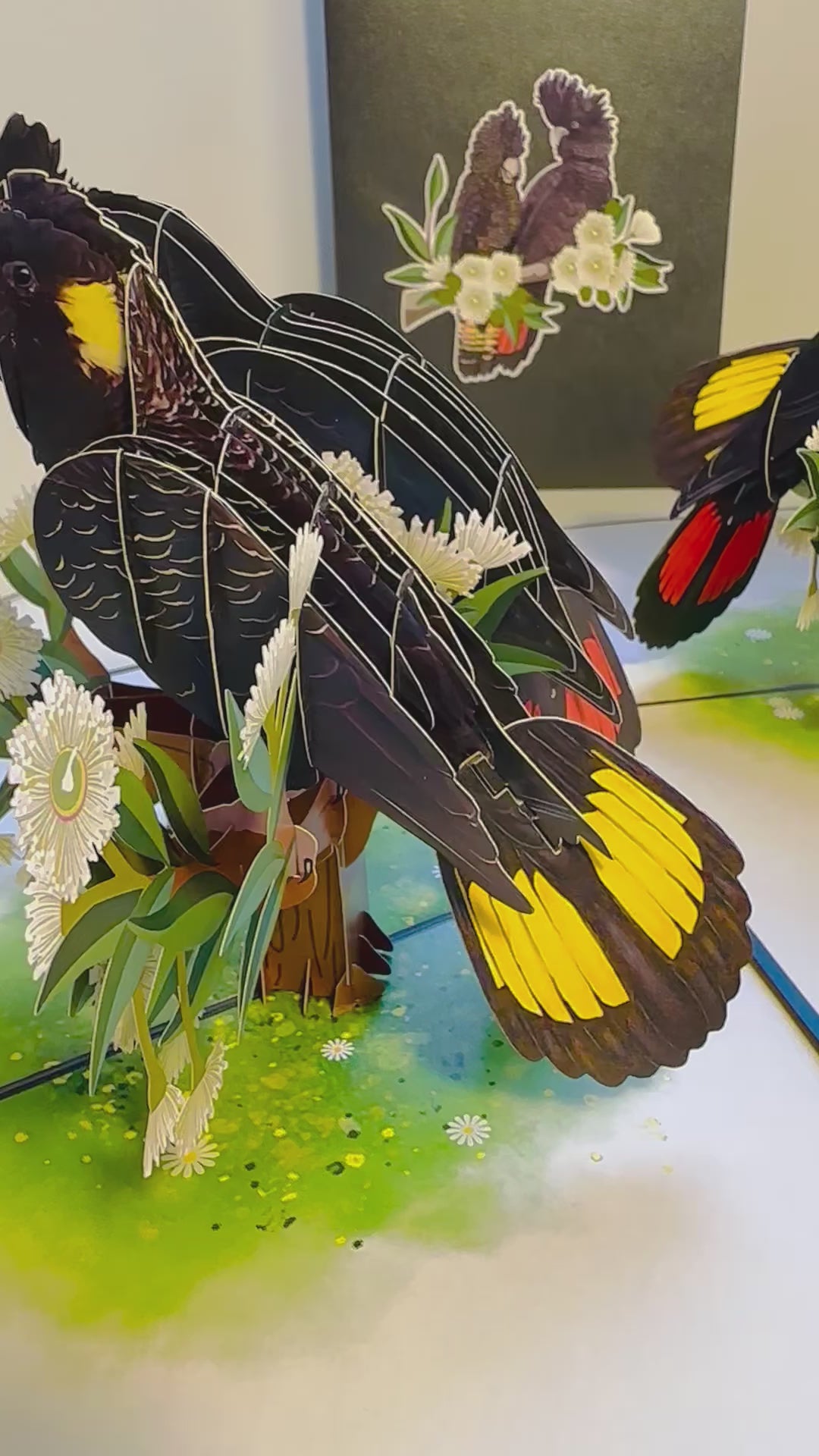 DOUBLE Red-Tailed & Yellow-Tailed Black Cockatoos - Aussie Bird Origami Pop Cards 3D Pop Up Greeting Card Happy Birthday Thank You Handmade Gift Thinking of You Blank Card for Any Occasion Happy Mother's Day Happy Father's Australiana Birds