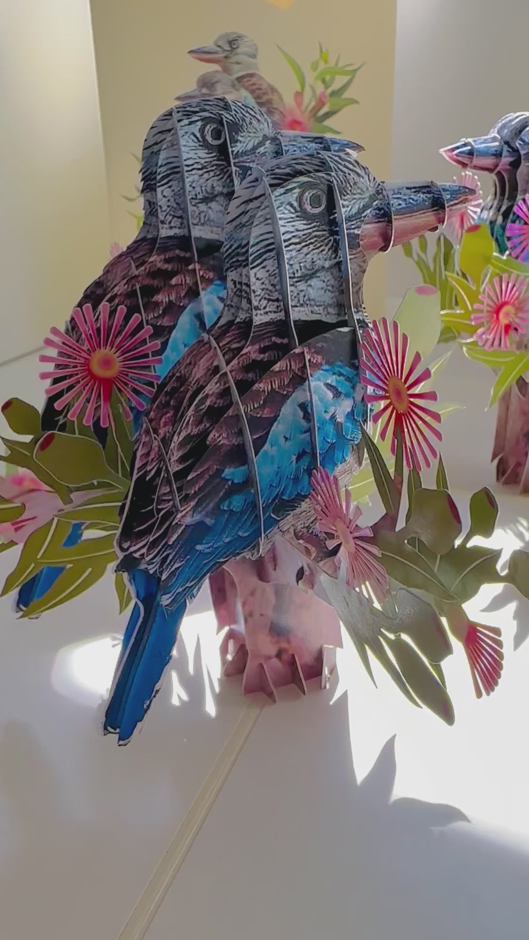 DOUBLE Kookaburra Australian Iconic Bird Origami Pop Cards 3D Pop Up Greeting Card Celebrate Happy Birthday Thank You Handmade Best Wishes Gift Thinking of You Blank Card for Any Occasion Happy Mother's Day Happy Father's Day Australiana Birds