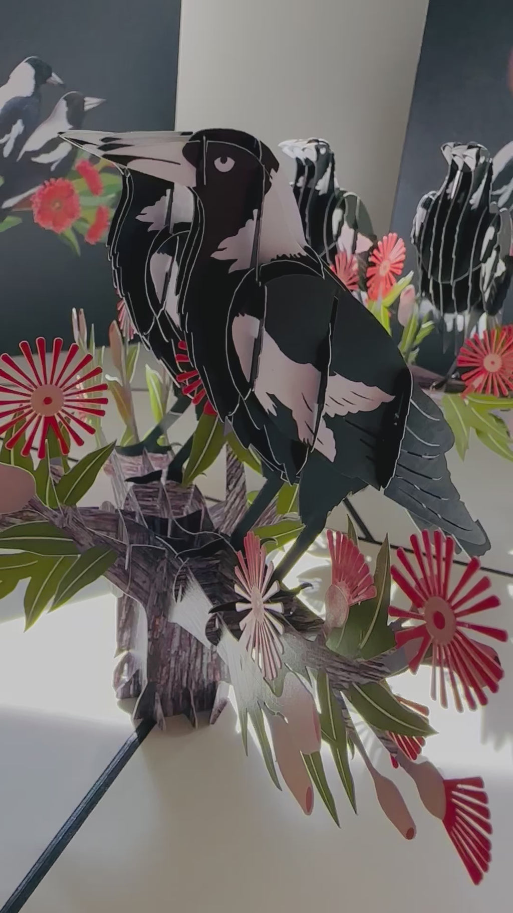 DOUBLE Australian Magpie - Iconic Birds in Aussie Backyards Origami Pop Cards 3D Pop Up Greeting Card Happy Birthday Thank You Handmade Gift Thinking of You Blank Card for Any Occasion Happy Mother's Day Happy Father's Australiana Birds