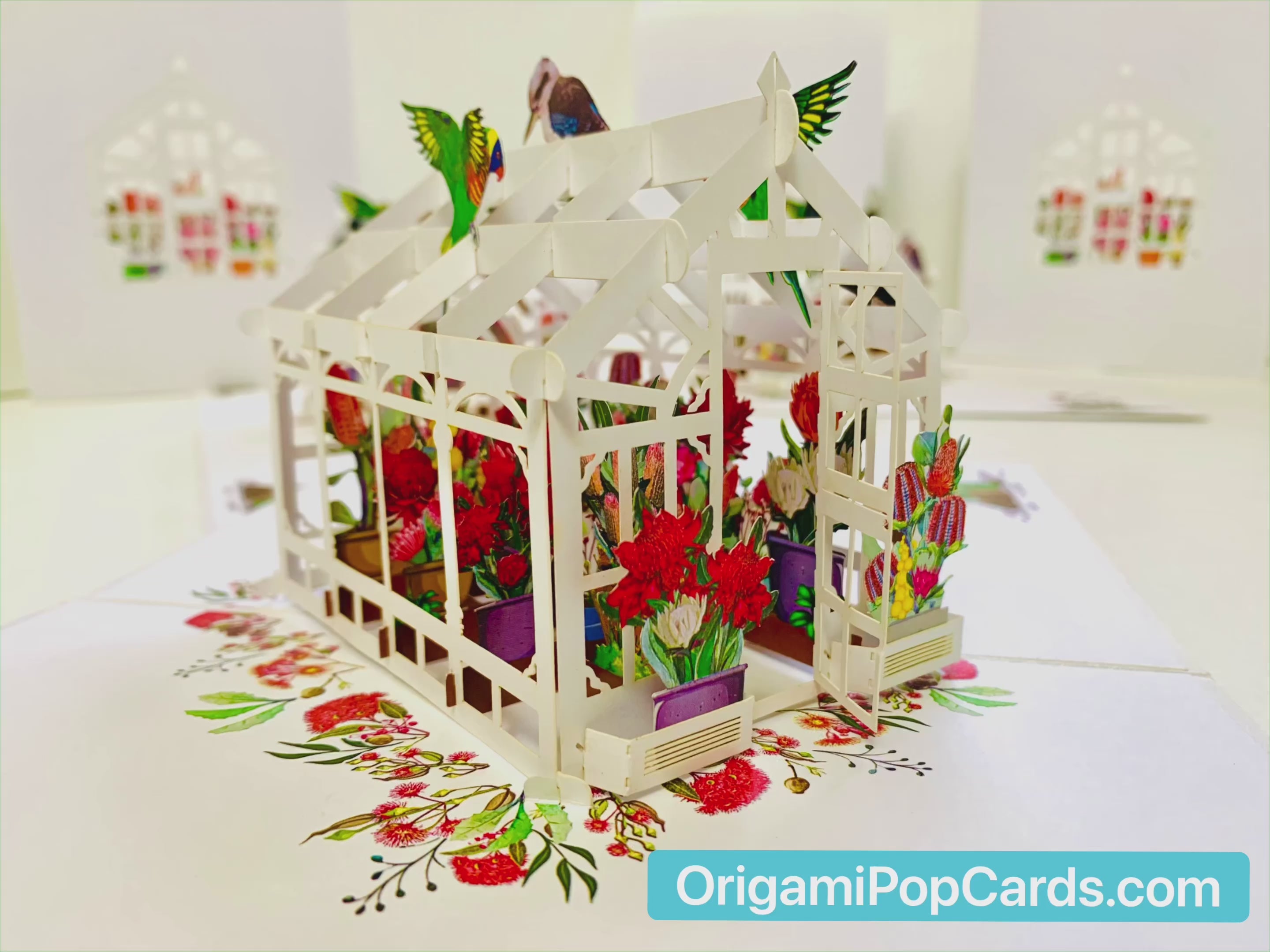 Flourishing Australian Native Greenhouse Garden & Birds Origami Pop Cards 3D Pop Up Greeting Card Celebrate Happy Birthday Thank You Handmade Best Wishes Gift Thinking of You Blank Card for Any Occasion Happy Mother's Day Happy Father's Day Australiana