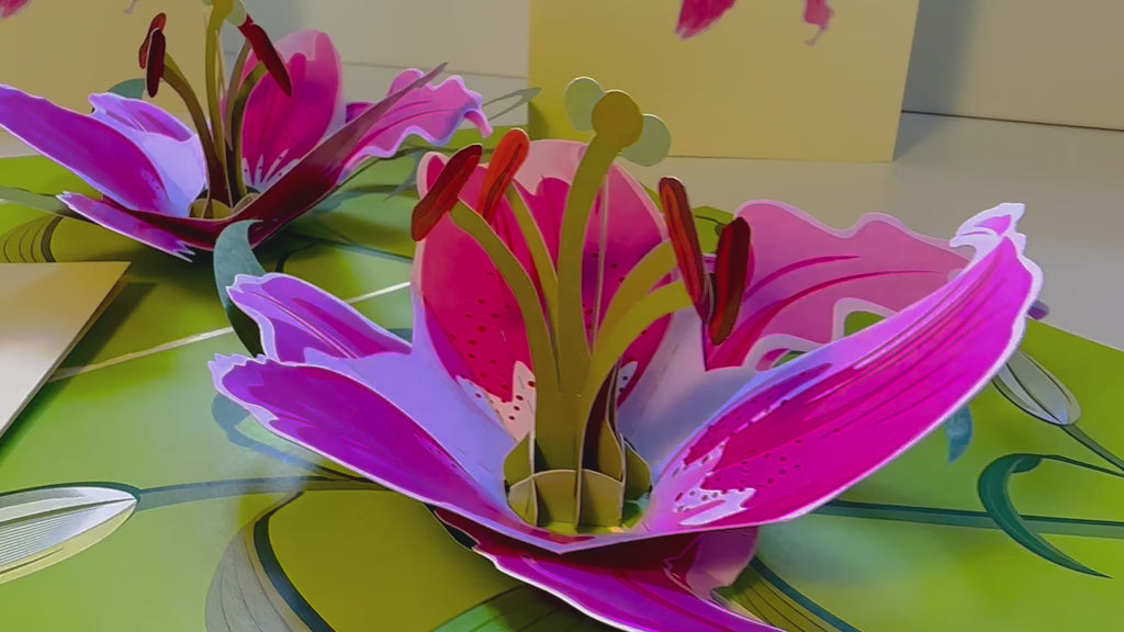 A Giant Hot Pink Lily - Just Perfect for a Thank You Note Origami Pop Cards 3D Pop Up Greeting Card Happy Birthday Thank You Handmade Gift Thinking of You Blank Card for Any Occasion Happy Mother's Day Happy Father's Celebrate the Beauty of Flower