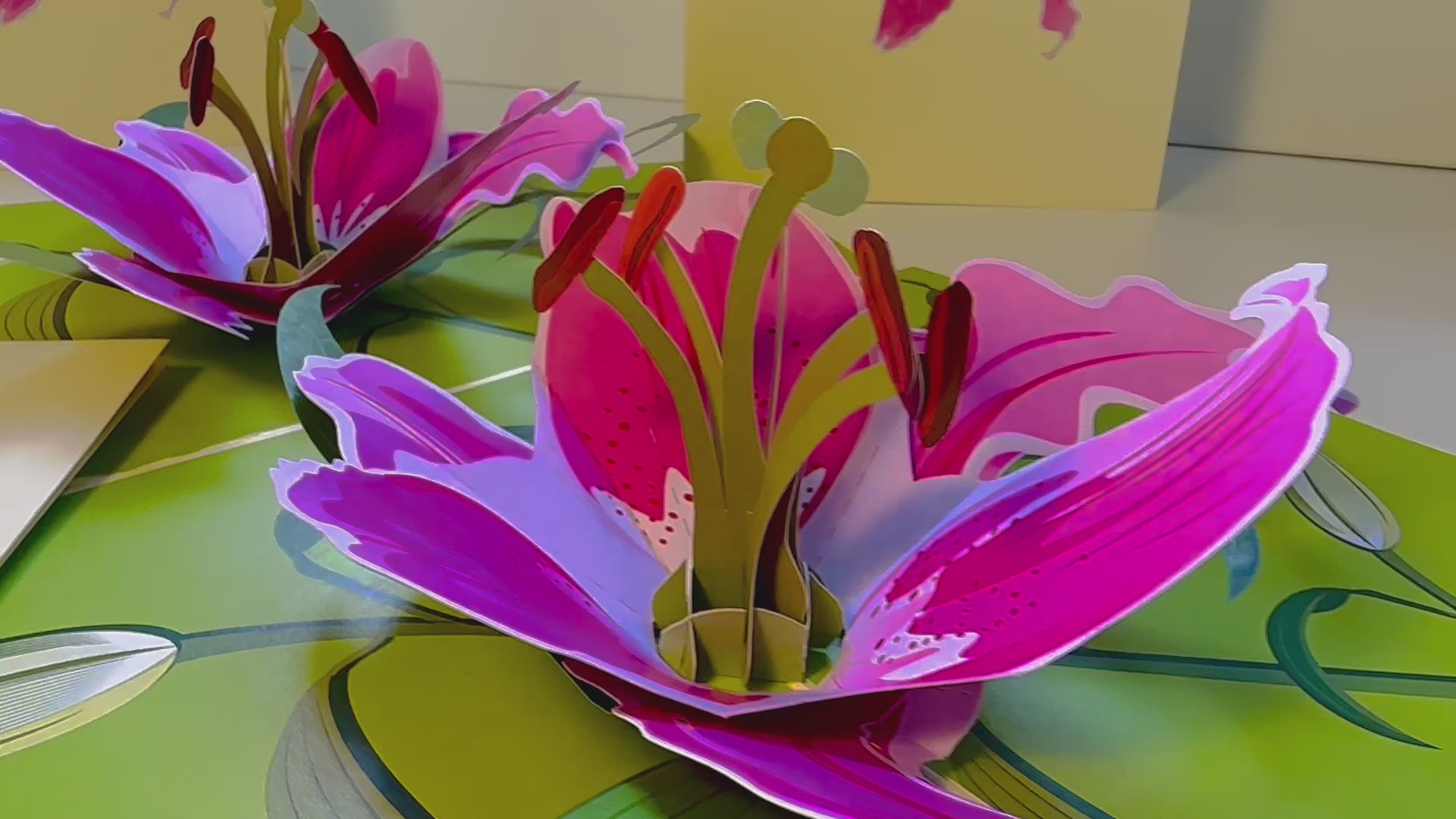 A Giant Hot Pink Lily - Just Perfect for a Thank You Note Origami Pop Cards 3D Pop Up Greeting Card Happy Birthday Thank You Handmade Gift Thinking of You Blank Card for Any Occasion Happy Mother's Day Happy Father's Celebrate the Beauty of Flower