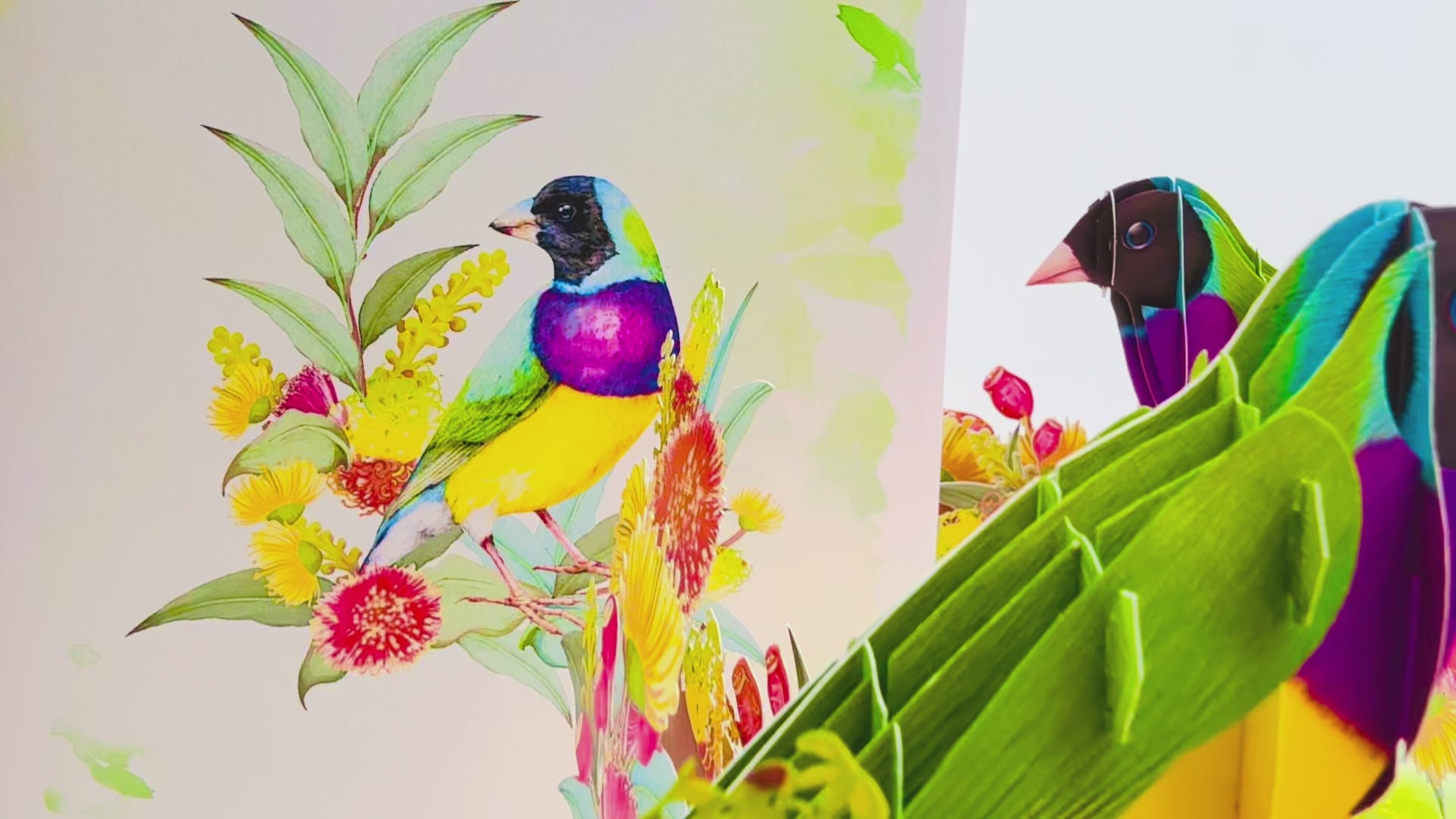 Black-Headed Gouldian Finch Origami Pop Cards 3D Pop Up Greeting Card Celebrate Happy Birthday Thank You Handmade Best Wishes Gift Thinking of You Blank Card for Any Occasion Happy Mother's Day Happy Father's Day Australiana Nature and Birds
