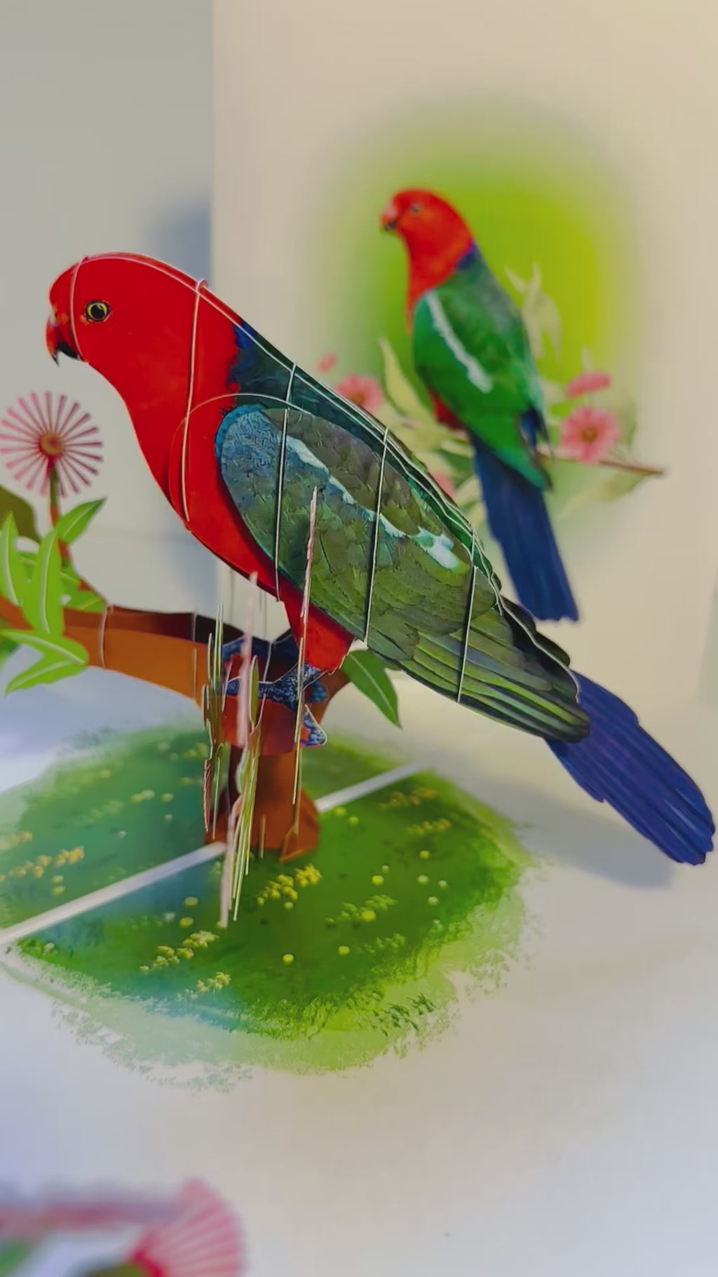 Single Australian King Parrot - Aussie Bird Origami Pop Cards 3D Pop Up Greeting Card Celebrate Happy Birthday Thank You Handmade Best Wishes Gift Thinking of You Blank Card for Any Occasion Happy Mother's Day Happy Father's Day Australiana Birds