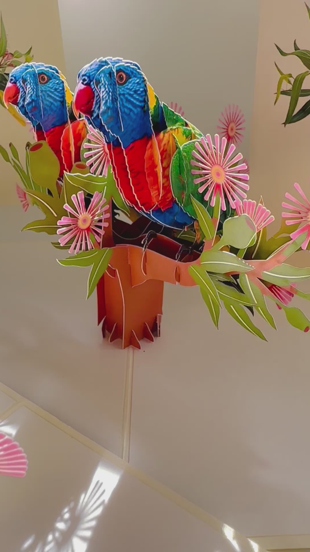 DOUBLE Rainbow Lorikeet Parrot Aussie Bird Card Origami Pop Cards 3D Pop Up Greeting Card Happy Birthday Thank You Handmade Gift Thinking of You Blank Card for Any Occasion Happy Mother's Day Happy Father's Australiana Birds