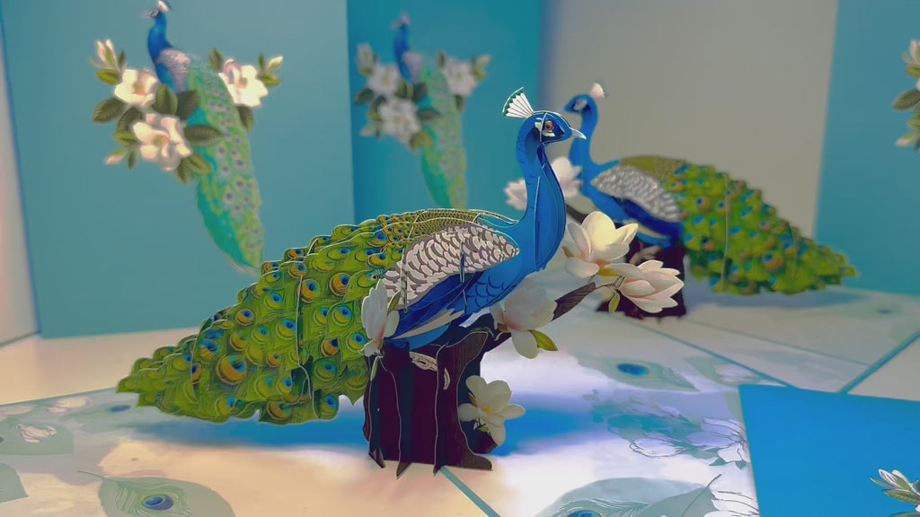 Asian Oriental Blue Green Peacock with White Magnolia Flowers Origami Pop Cards 3D Pop Up Greeting Card Happy Birthday Thank You Handmade Best Wishes Blank Card for Any Occasion Happy Mother's Day Happy Father's Day Celebrate the Beauty Of Nature