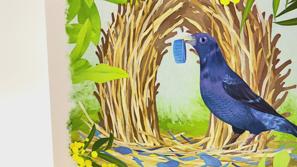 Satin Bowerbird - Australia's Unique Wildlife Origami Pop Cards 3D Pop Up Greeting Card Celebrate Happy Birthday Thank You Handmade Best Wishes Gift Thinking of You Blank Card for Any Occasion Happy Mother's Day Happy Father's Day Australiana Nature