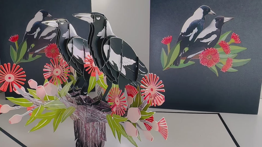 DOUBLE Australian Magpie - Iconic Birds in Aussie Backyards Origami Pop Cards 3D Pop Up Greeting Card Happy Birthday Thank You Handmade Gift Thinking of You Blank Card for Any Occasion Happy Mother's Day Happy Father's Australiana Birds