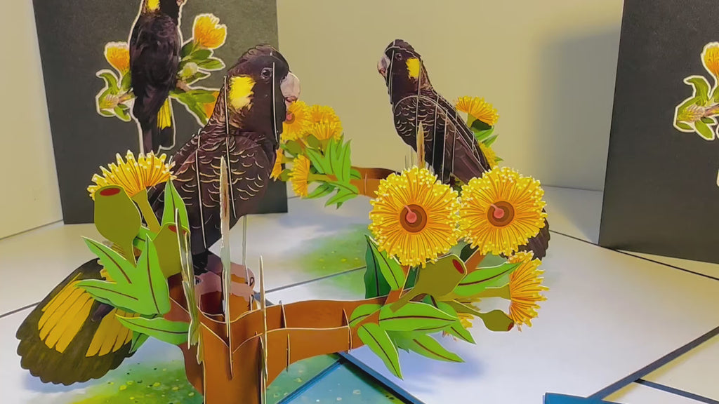 Yellow-Tailed Black Cockatoo with Golden Gum Blossoms - Australian Bird Origami Pop Cards 3D Pop Up Greeting Card Happy Birthday Thank You Handmade Gift Thinking of You Blank Card for Any Occasion Happy Mother's Day Happy Father's Australiana Birds