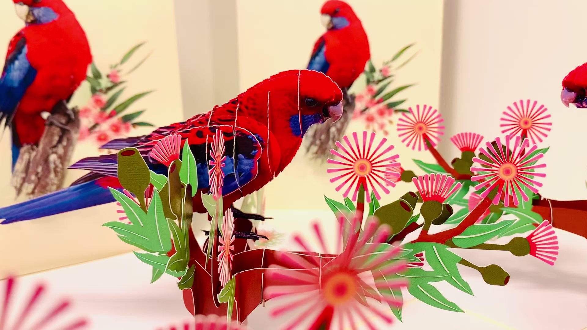 Single Crimson Rosella Parrot Australian Bird Origami Pop Cards 3D Pop Up Greeting Card Happy Birthday Thank You Handmade Gift Thinking of You Blank Card for Any Occasion Happy Mother's Day Happy Father's Australiana Birds