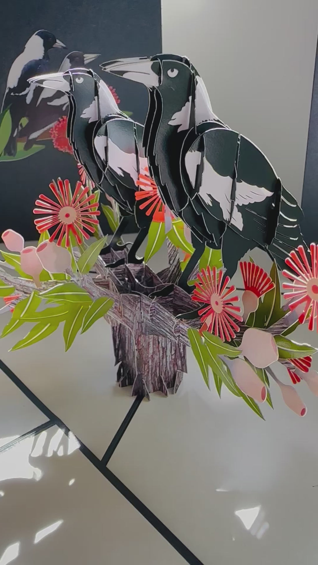 DOUBLE Australian Magpie - Iconic Birds in Aussie Backyards Origami Pop Cards 3D Pop Up Greeting Card Happy Birthday Thank You Handmade Gift Thinking of You Blank Card for Any Occasion Happy Mother's Day Happy Father's Australiana Birds