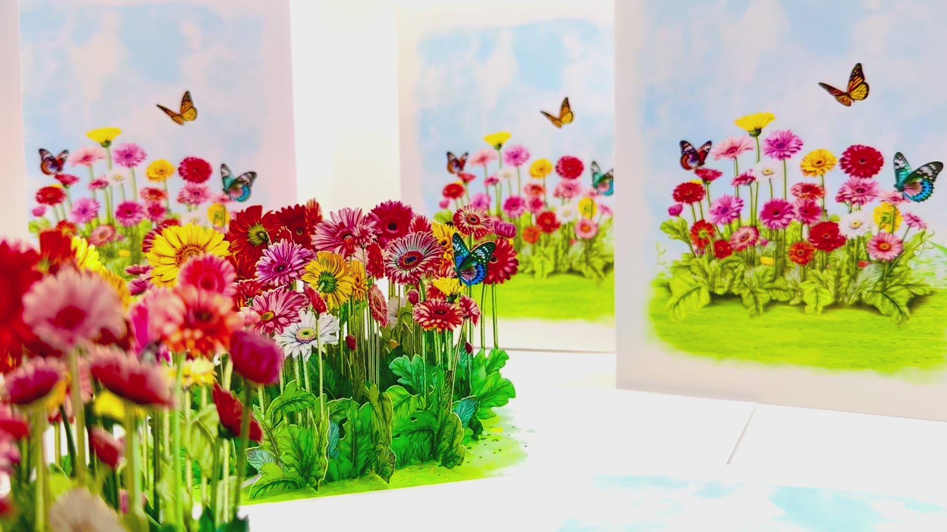 Gerbera Daisy Garden with Butterflies Origami Pop Cards 3D Pop Up Greeting Card Happy Birthday Thank You Handmade Gift Thinking of You Blank Card for Any Occasion Happy Mother's Day Happy Father's Australiana Celebrate the Beauty of Flower
