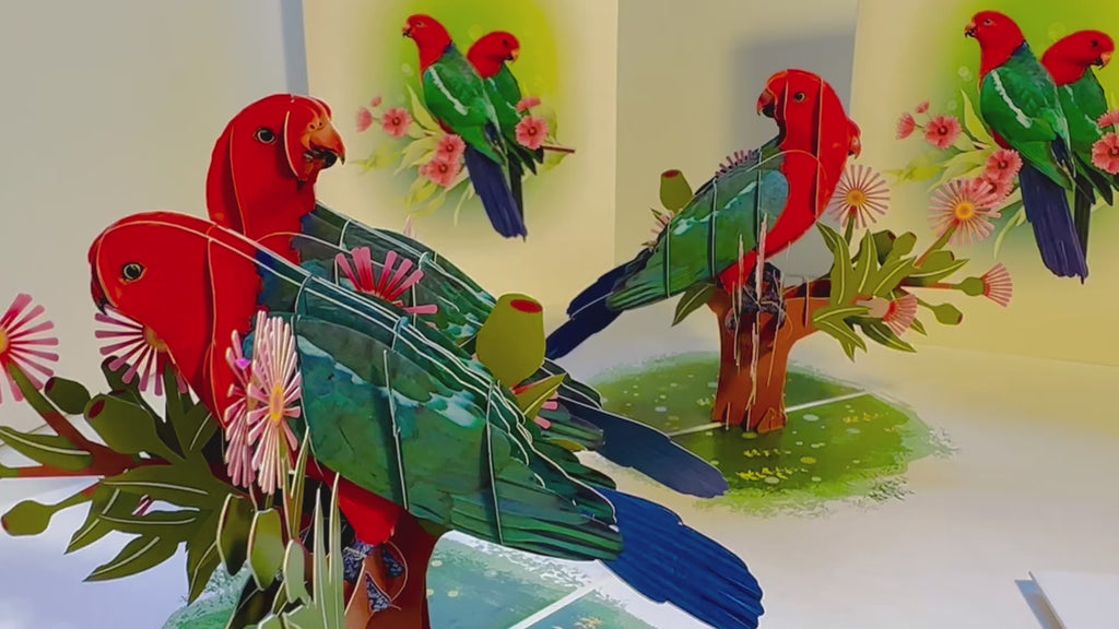 DOUBLE Australian King Parrots - Aussie Bird Origami Pop Cards 3D Pop Up Greeting Card Celebrate Happy Birthday Thank You Handmade Best Wishes Gift Thinking of You Blank Card for Any Occasion Happy Mother's Day Happy Father's Day Australiana Birds