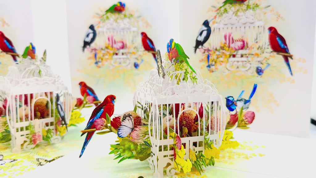 Australian Native Bird Cage with Flowers & Butterflies Origami Pop Cards 3D Pop Up Greeting Card Celebrate Happy Birthday Thank You Handmade Best Wishes Gift Thinking of You Blank Card for Any Occasion Happy Mother's Day Happy Father's Day Australiana