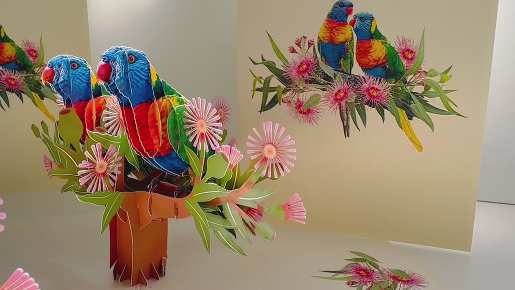 DOUBLE Rainbow Lorikeet Parrot Aussie Bird Card Origami Pop Cards 3D Pop Up Greeting Card Happy Birthday Thank You Handmade Gift Thinking of You Blank Card for Any Occasion Happy Mother's Day Happy Father's Australiana Birds
