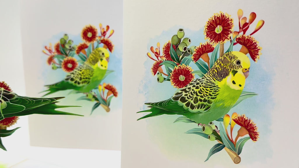 Green & Yellow Budgie with Australian Native Red Gumnut Blossoms Origami Pop Cards 3D Pop Up Greeting Card Celebrate Happy Birthday Thank You Handmade Best Wishes Thinking of You Blank Card Any Occasion Happy Mother's Day Happy Father's Day Australiana