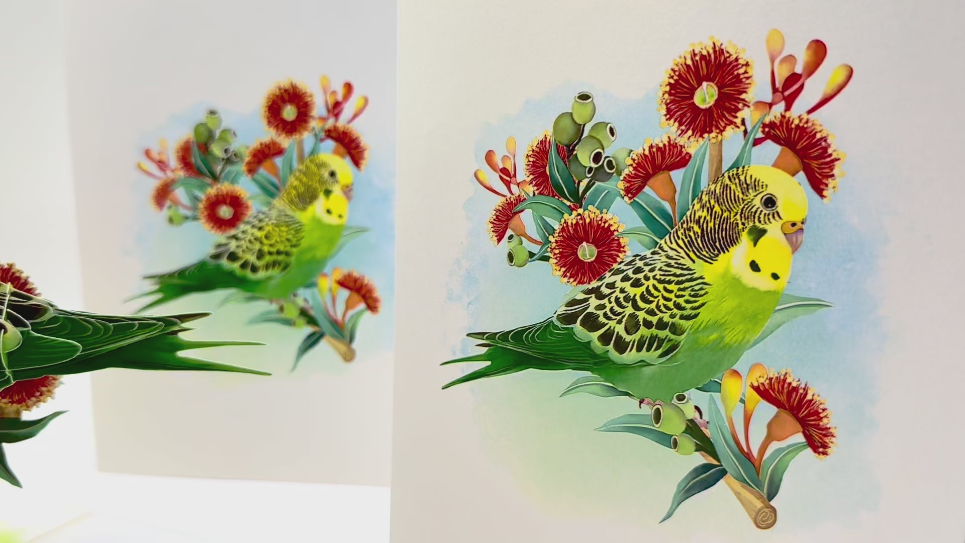 Green & Yellow Budgie with Australian Native Red Gumnut Blossoms Origami Pop Cards 3D Pop Up Greeting Card Celebrate Happy Birthday Thank You Handmade Best Wishes Thinking of You Blank Card Any Occasion Happy Mother's Day Happy Father's Day Australiana