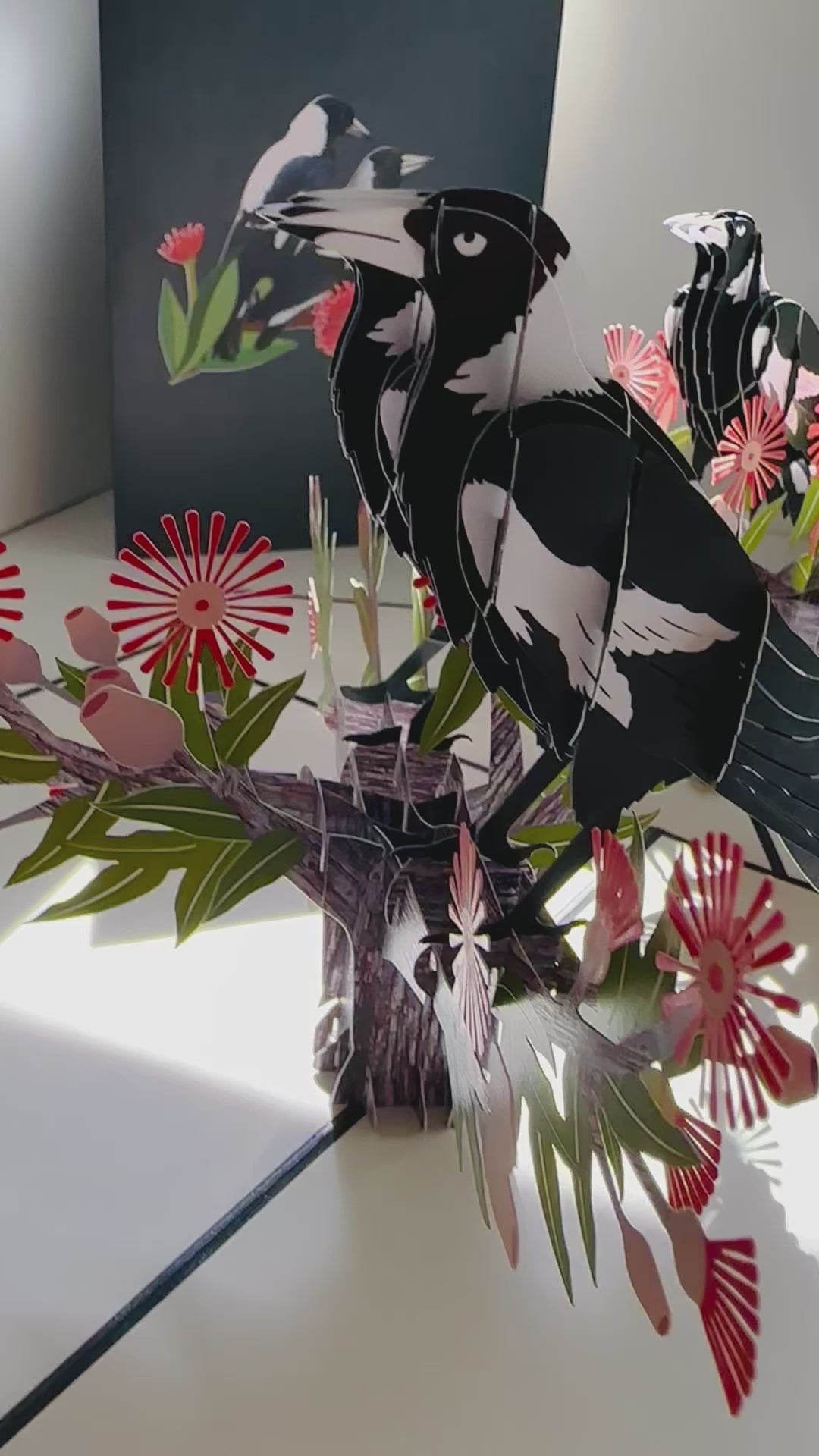 DOUBLE Australian Magpie - Iconic Birds in Aussie Backyards Origami Pop Cards 3D Pop Up Greeting Card Happy Birthday Thank You Handmade Gift Thinking of You Blank Card for Any Occasion Happy Mother's Day Happy Father's Australiana Birds