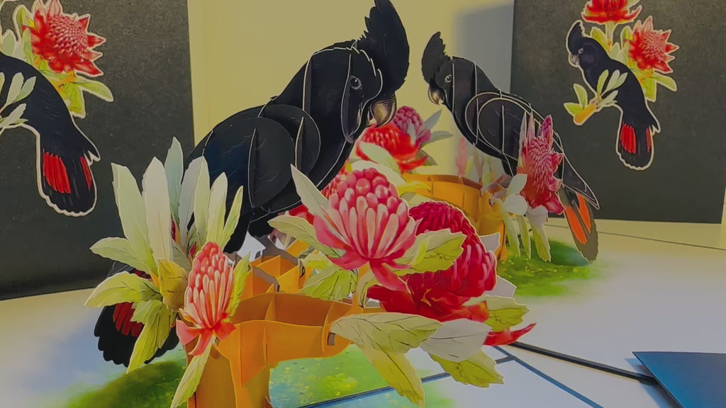Red-Tailed Black Cockatoo with Red Waratahs - Australian Bird Origami Pop Cards 3D Pop Up Greeting Card Happy Birthday Thank You Handmade Gift Thinking of You Blank Card for Any Occasion Happy Mother's Day Happy Father's Australiana Birds