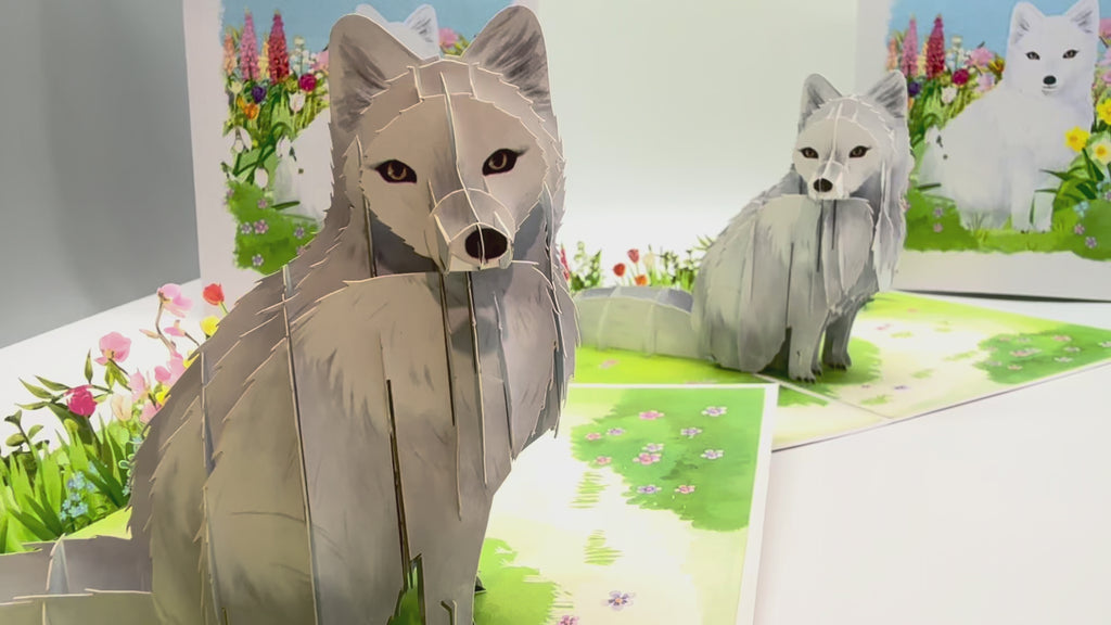 White Fox on Spring Flower Fields Origami Pop Cards 3D Pop Up Greeting Card Best Wishes Happy Birthday Gift Thank You Handmade Best Wishes Blank Card for Any Occasion Happy Mother's Day Happy Father's Day Celebrate the Beauty Of Nature and Fox