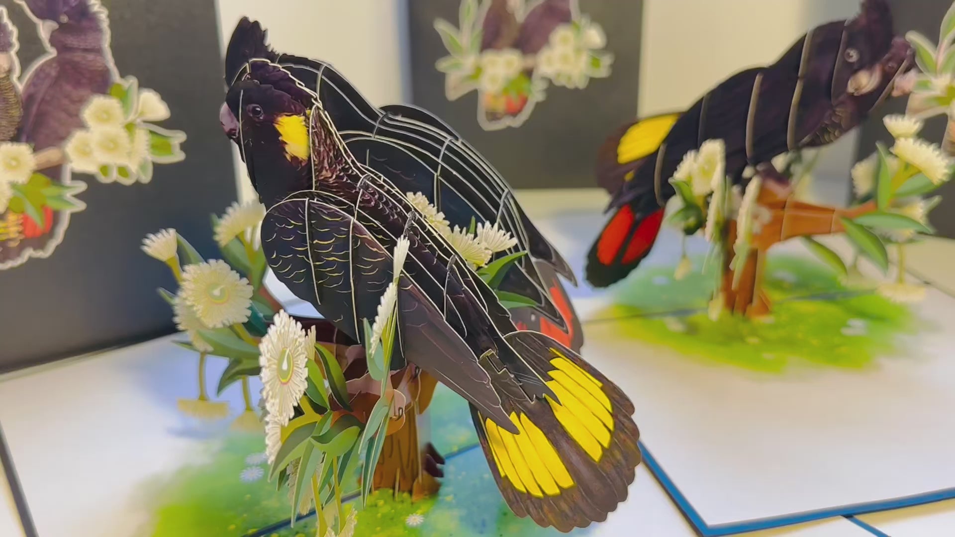DOUBLE Red-Tailed & Yellow-Tailed Black Cockatoos - Aussie Bird Origami Pop Cards 3D Pop Up Greeting Card Happy Birthday Thank You Handmade Gift Thinking of You Blank Card for Any Occasion Happy Mother's Day Happy Father's Australiana Birds