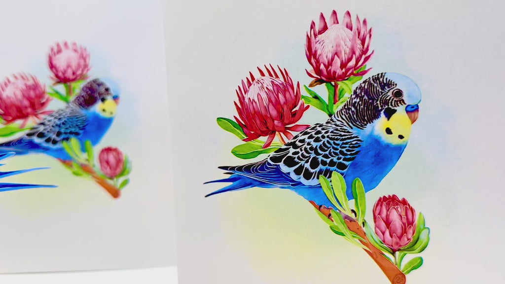 Blue & Yellow Budgie with Pink Protea Flowers Origami Pop Cards 3D Pop Up Greeting Card Celebrate Happy Birthday Thank You Handmade Best Wishes Gift Thinking of You Blank Card for Any Occasion Happy Mother's Day Happy Father's Day Australiana Nature