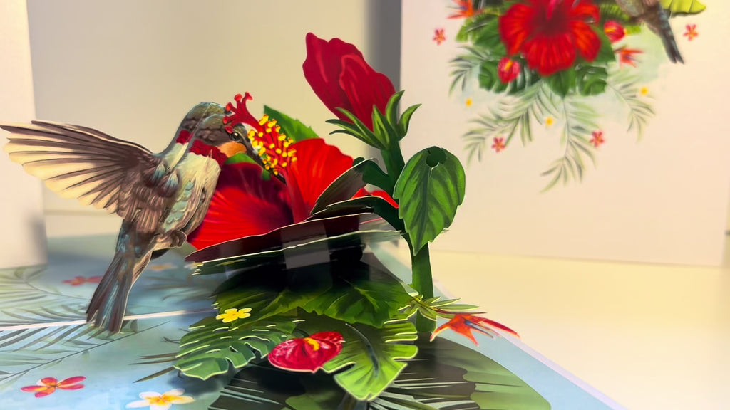 Hummingbird Attracting Red Hibiscus Flowers Origami Pop Cards 3D Pop Up Greeting Card Celebrate Happy Birthday Thank You Handmade Best Wishes Gift Thinking of You Blank Card for Any Occasion Happy Mother's Day Happy Father's Day Australiana Birds