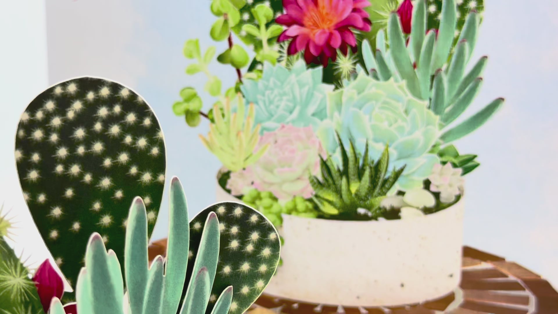Cactus & Succulent Garden Origami Pop Cards 3D Pop Up Greeting Card Happy Birthday Thank You Handmade Best Wishes Gift Thinking of You Blank Card for Any Occasion Happy Mother's Day Happy Father's Australiana Celebrate the Beauty of Nature