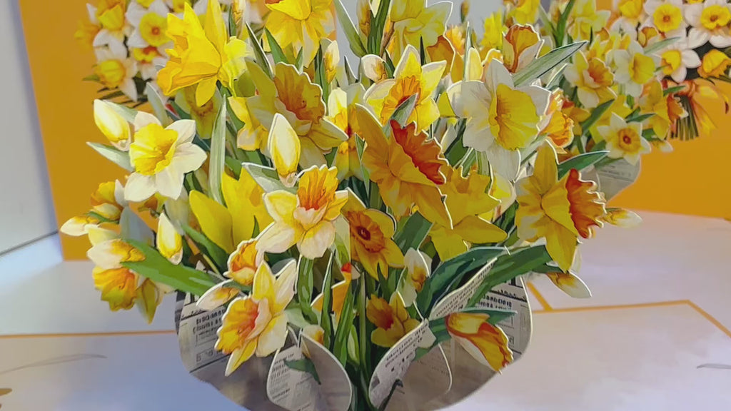 ORANGE Cover - Daffodil Bloom Flower Bouquet Origami Pop Cards 3D Pop Up Greeting Card Happy Birthday Thank You Handmade Gift Thinking of You Blank Card for Any Occasion Happy Mother's Day Happy Father's Australiana Celebrate the Beauty of Flower