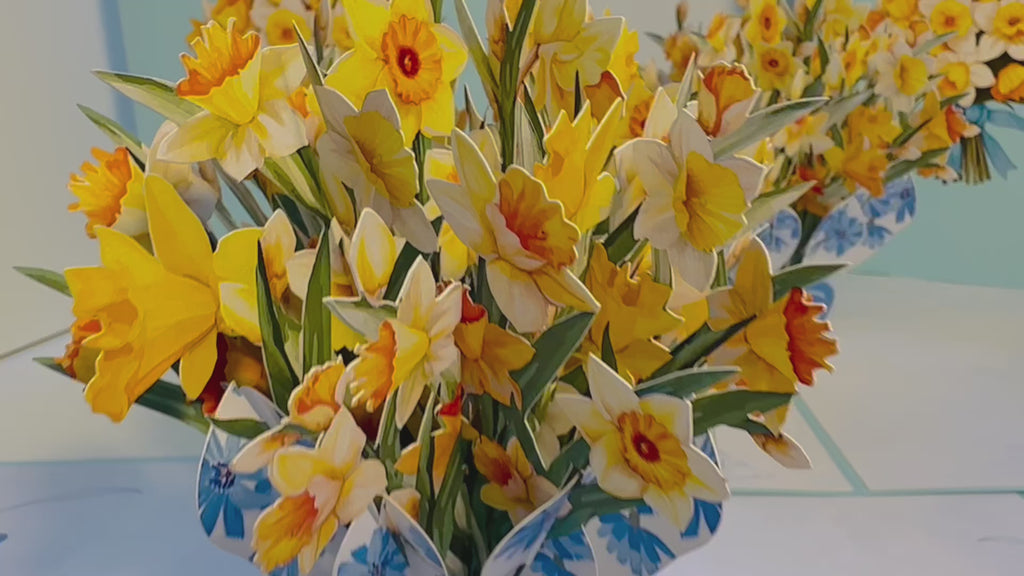 BABY BLUE Cover - Daffodil Bloom Flower Bouquet Origami Pop Cards 3D Pop Up Greeting Card Happy Birthday Thank You Handmade Gift Thinking of You Blank Card for Any Occasion Happy Mother's Day Happy Father's Australiana Celebrate the Beauty of Flower