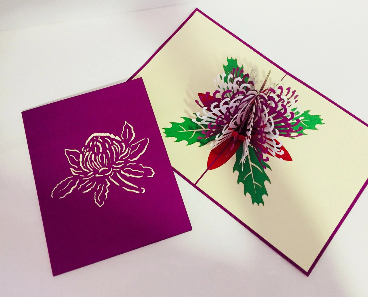 Waratah Australian Native Flower in Purple & White Origami Pop Cards 3D Pop Up Greeting Card Happy Birthday Thank You Handmade Gift Thinking of You Blank Card for Any Occasion Happy Mother's Day Happy Father's Australiana (Copy)