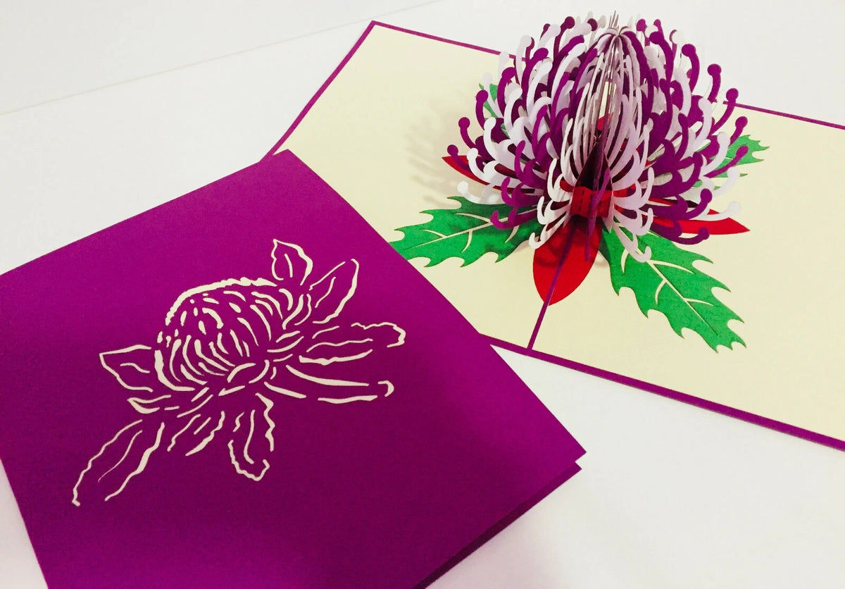 Waratah Australian Native Flower in Purple & White Origami Pop Cards 3D Pop Up Greeting Card Happy Birthday Thank You Handmade Gift Thinking of You Blank Card for Any Occasion Happy Mother's Day Happy Father's Australiana (Copy)